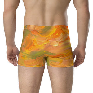 Furrow & Fields Boxer Briefs Massey Ferguson 6255 Splash Art | Boxer Briefs Quality Farmers Merch