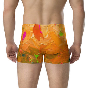 Furrow & Fields Boxer Briefs Renault 106-54 TL Splash Art | Boxer Briefs Quality Farmers Merch