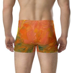 Furrow & Fields Boxer Briefs Sanderson 726 Teleporter Splash Art | Boxer Briefs Quality Farmers Merch