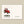 Furrow & Fields Greeting Card Farmer of the Year International 785 XL | Greeting Card Quality Farmers Merch