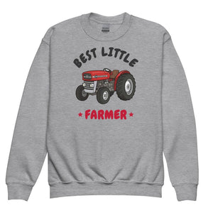 Furrow & Fields Kids Premium Sweatshirt Sport Grey / XS Best Little Farmer Massey Ferguson 135 | Kids Premium Sweatshirt Quality Farmers Merch