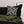 Furrow & Fields Pillow Case Massey Ferguson 3070 Pillow Case – Charcoal Quality Farmers Merch