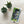 The Tractor Mugs Store Samsung Galaxy S10e Ford '000 Series Advert | Tough case for Samsung® Quality Farmers Merch